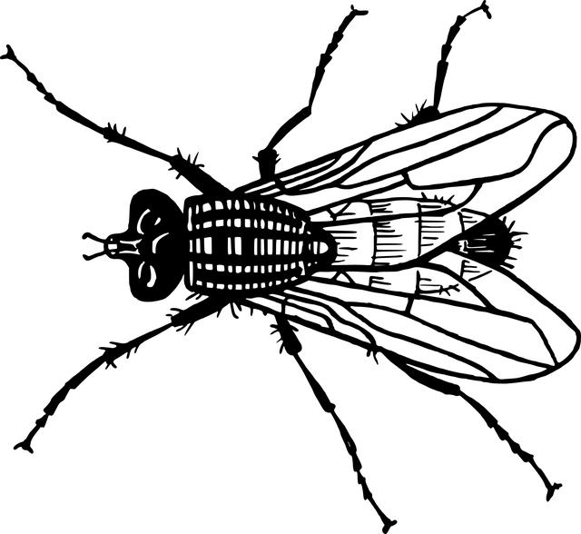 pest-control-640x480-77917872.png