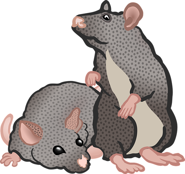 rats, mice