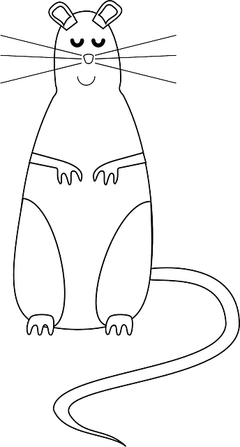 rats, mice