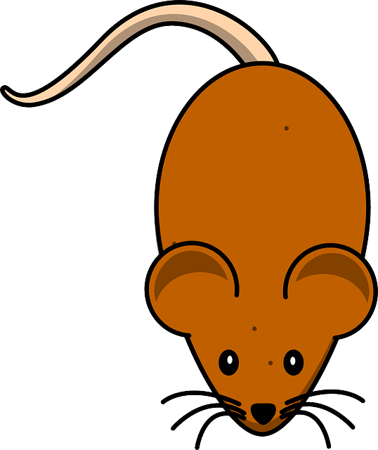 rats, mice