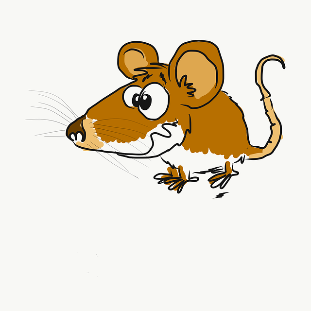 rats, mice