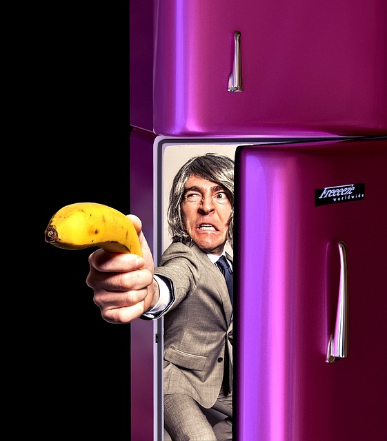 Refrigerator Repair