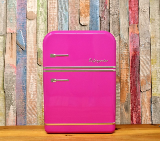 Refrigerator Repair