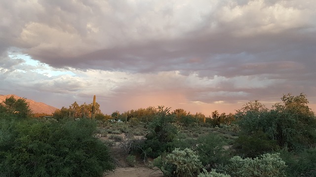 Roof Repair, Tucson