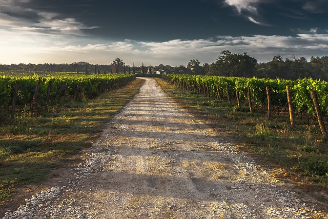 RV, open road