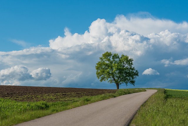 RV, open road