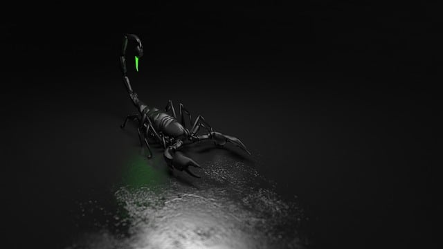 scorpion