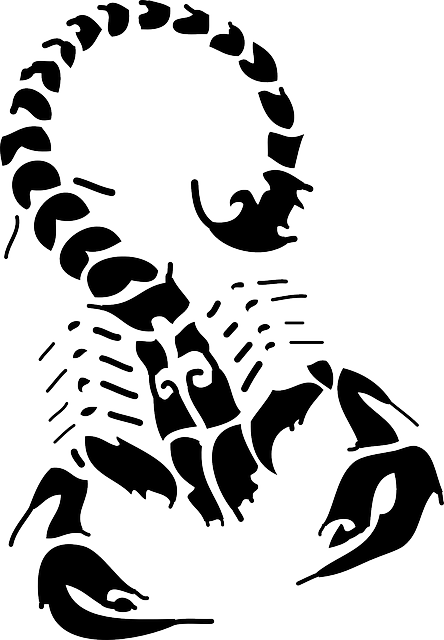 scorpion