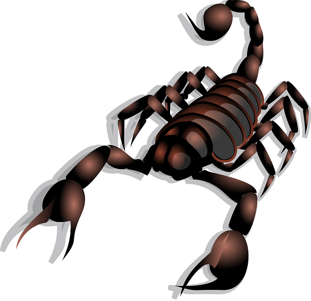 scorpion