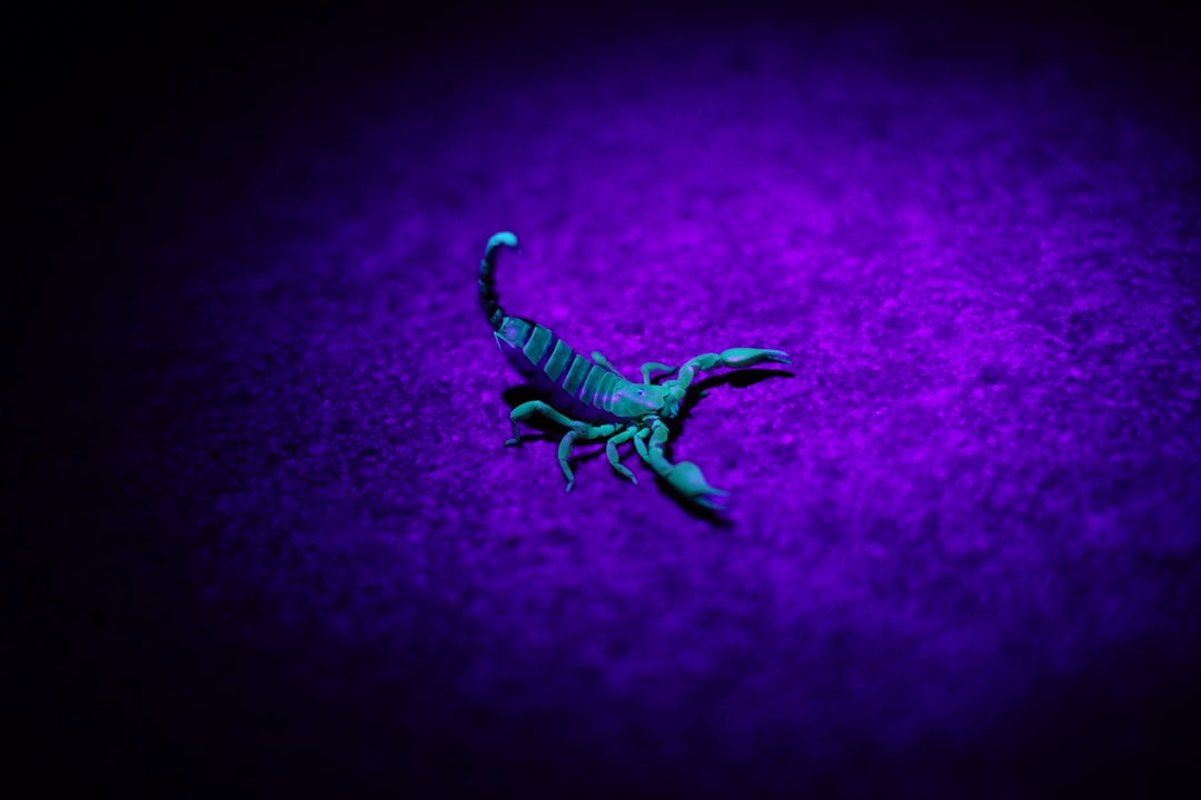 Scorpion Survival in Oro Valley Deserts: Habitats, Control Strategies, and Safe Coexistence