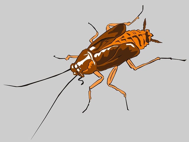 termites