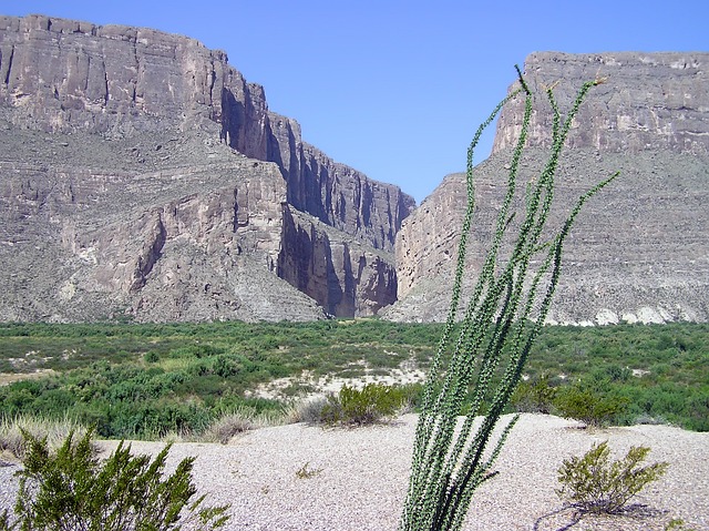 Texas