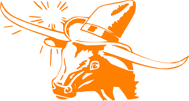 texas-640x480-35599514.png