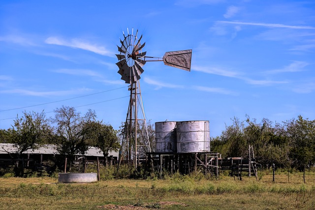 Texas