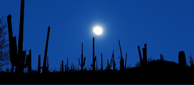 Tucson