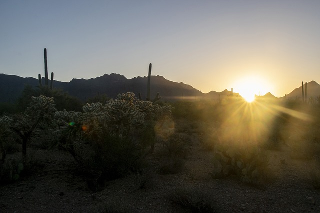 Tucson