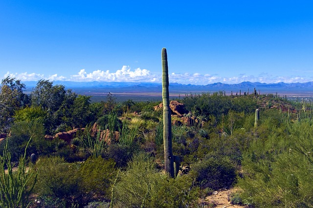 tucson-640x480-52728796.jpeg