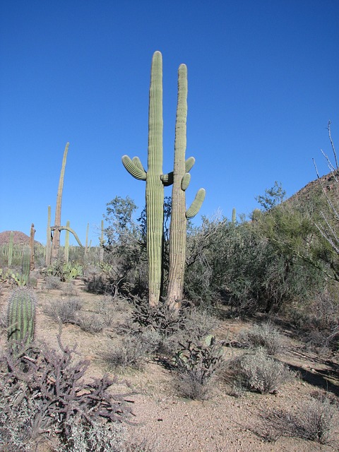 Tucson