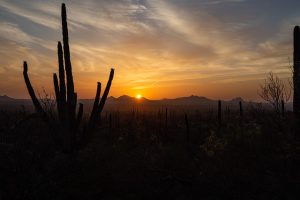 tucson-640x480-81895808.jpeg