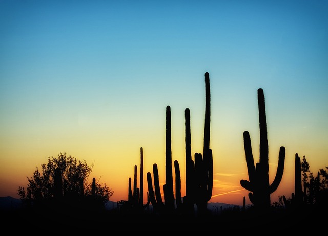 Tucson, Arizona