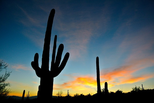Tucson, Arizona