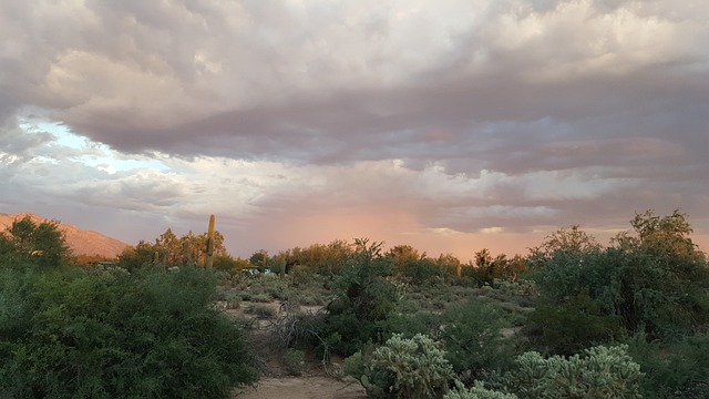 Tucson, Arizona