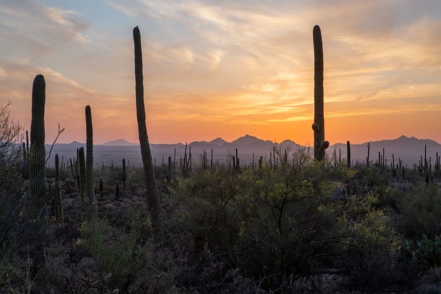 Tucson, Arizona