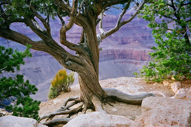 Tucson, Arizona