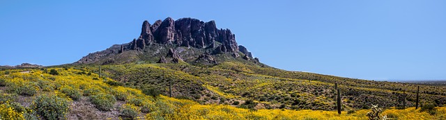 Tucson, Arizona