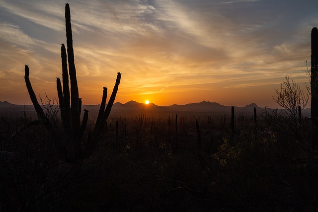 Tucson, Arizona