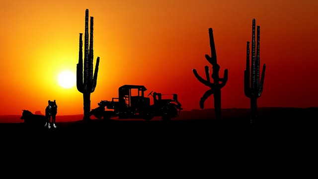 Tucson, Arizona