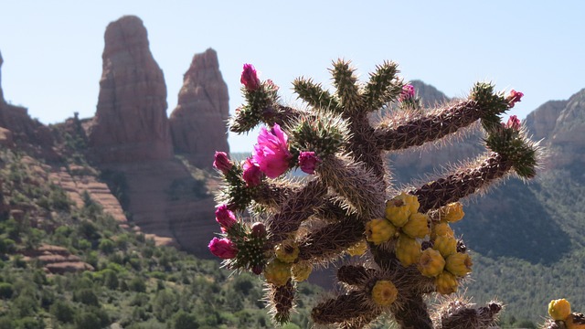 Tucson, Arizona