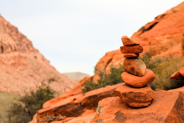 Arizona