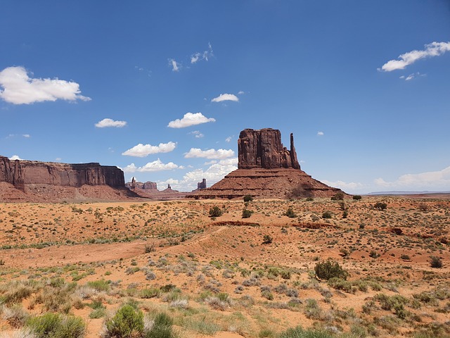 Arizona