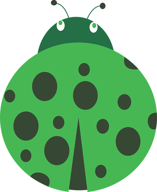 bugs
