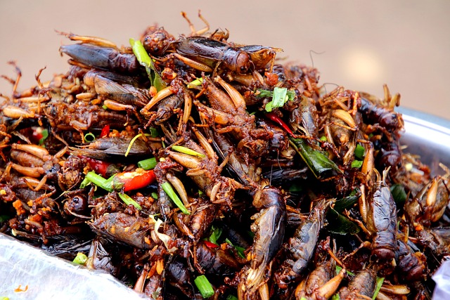 cockroach-640x480-10311210.jpeg