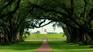 lawn-care-landscaping-640x480-29392361.jpeg