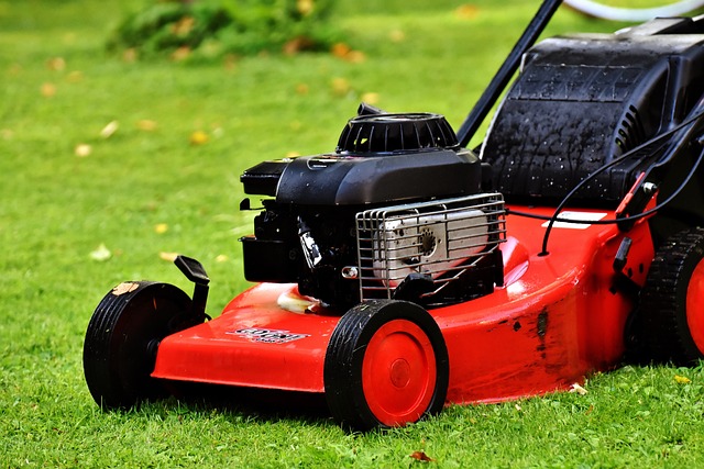 Lawn Care, Landscaping