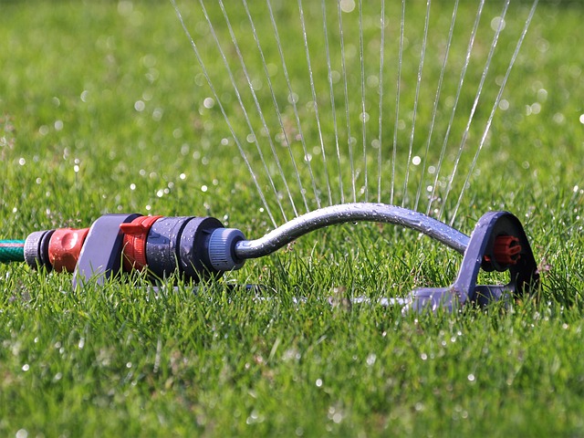lawn-care-landscaping-640x480-87233993.jpeg