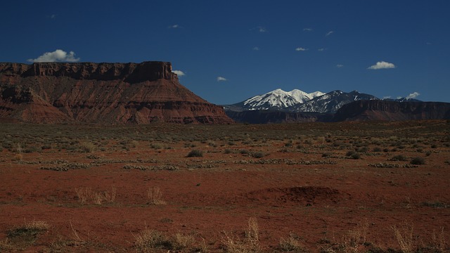 New Mexico