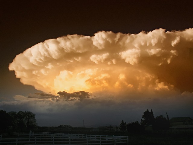 New Mexico
