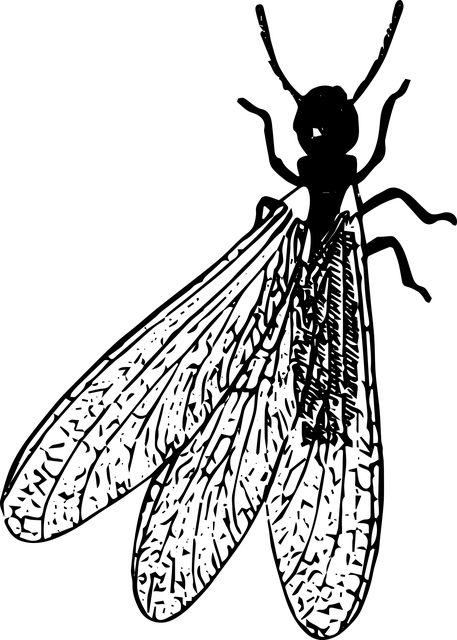 pest-control-640x480-65957565.png