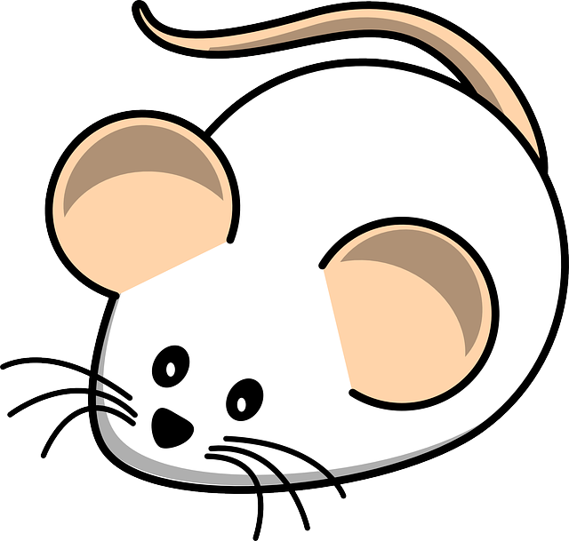 rats-mice-640x480-35089989.png