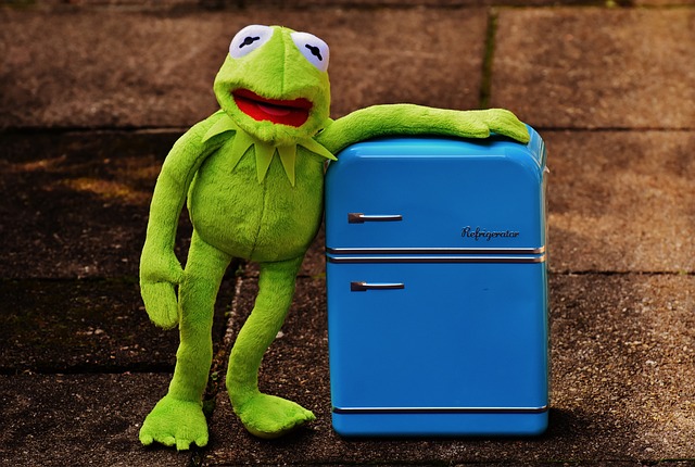Refrigerator Repair