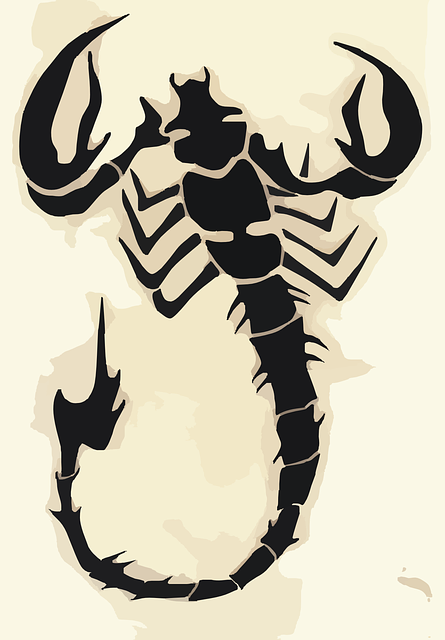 scorpion-640x480-36454402.png