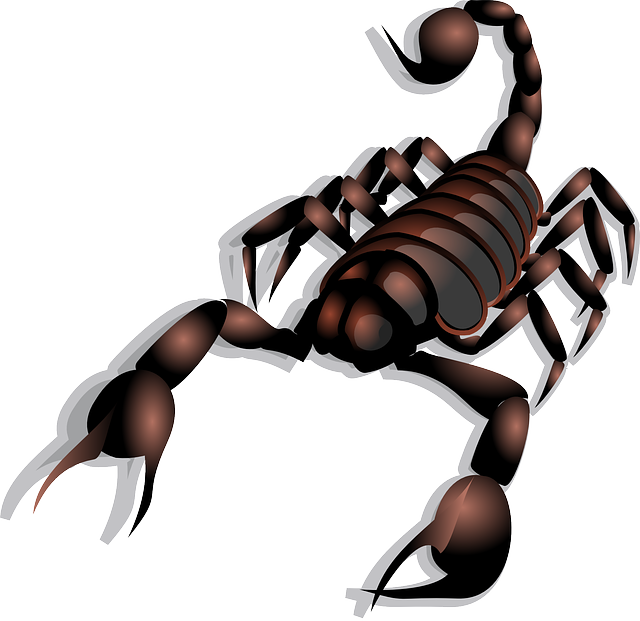 scorpion
