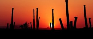 tucson-640x480-29511623.jpeg