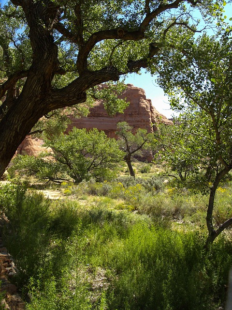 tucson-arizona-640x480-62124924.jpeg