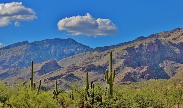 Tucson, Arizona