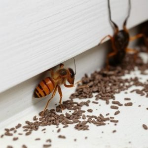 pest-control-640x480-10902921.jpeg